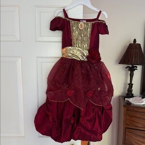 Disney Belle Costume